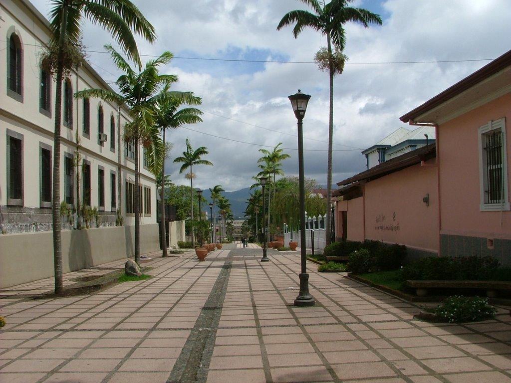Hotel Bristol San José Extérieur photo